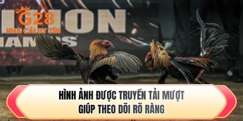 Hình ảnh được truyền tải mượt giúp theo dõi rõ ràng